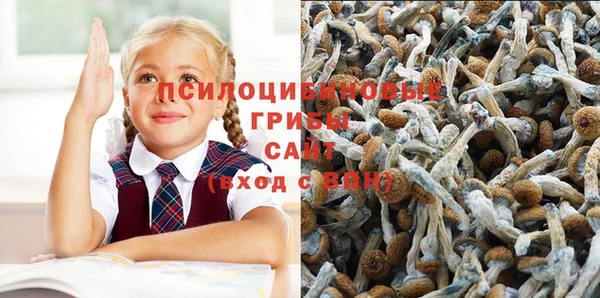 а пвп мука Саяногорск