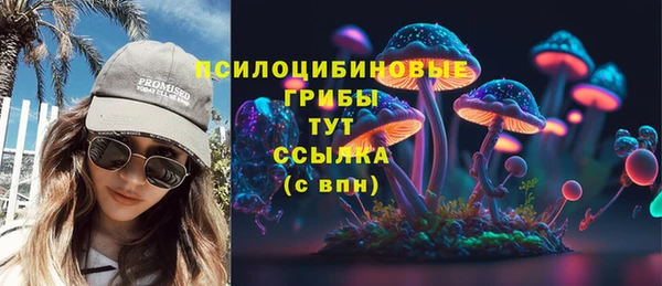 экстази Каменка