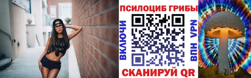 где продают   OMG как зайти  Галлюциногенные грибы Psilocybine cubensis  Спас-Деменск 